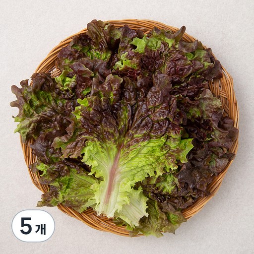 국내산 적상추