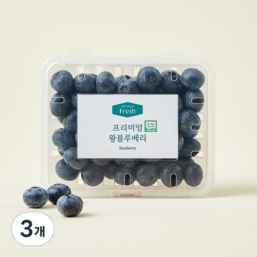 프리미엄 유기농 블루베리 대과