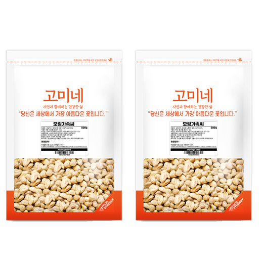 고미네 모링가속씨