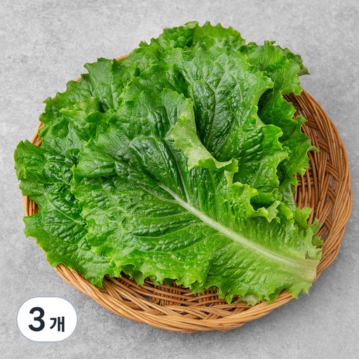 GAP 한끼 청상추