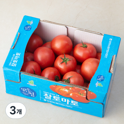 강원 맑은청 찰토마토
