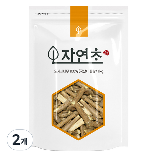 오가피나무