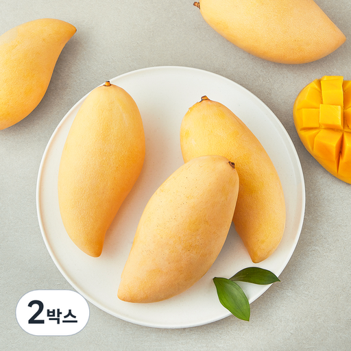 이웃마을 태국산 남독마이 망고