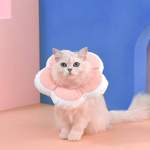 힐링타임 키티요요 반려동물 넥카라 NH-3204