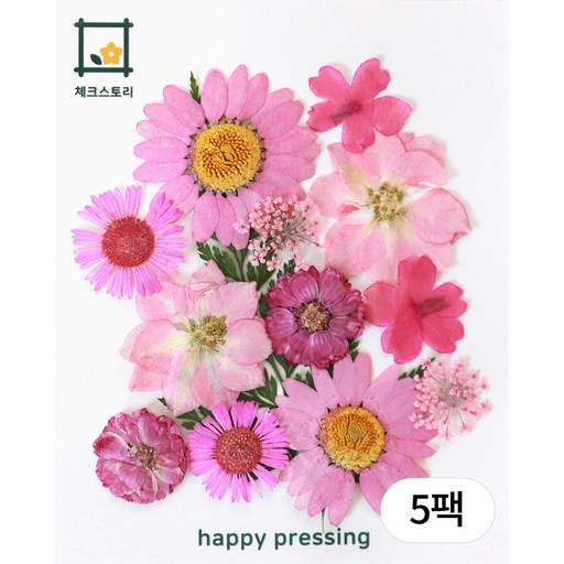 체크스토리 압화 레인보우압화 종합팩 조화 꽃송이 압화공예재료 수업재료 방과후수업 자연물놀이