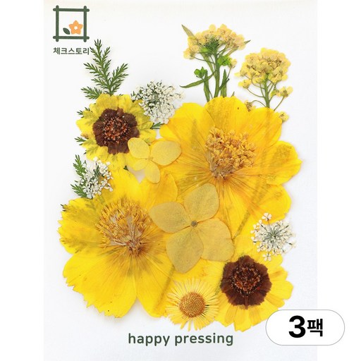 체크스토리 압화 컬러가든시리즈 누름꽃 꽃송이 압화재료 공예