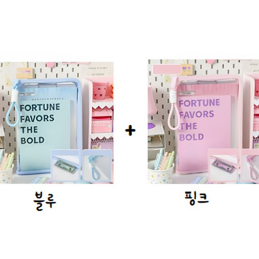 알리오마켓 파스텔 지퍼형 파일 시험지 문서 서류 정리 손잡이 투명 파일케이스