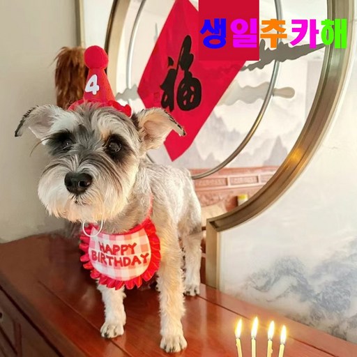 알파벳샵 강아지 고양이 생일 파티 고깔 숫자 세트 * 2개