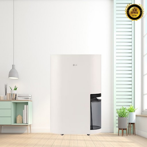LG 휘센 오브제컬렉션 제습기 21L, DQ214MEGA