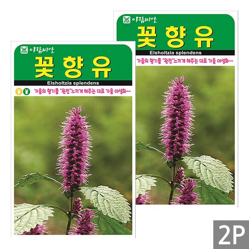 세인화분 꽃향유 3000립 - 향유 야생화 꽃 씨 씨앗
