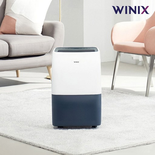 위닉스 뽀송 제습기 10L DXTM100-KWK
