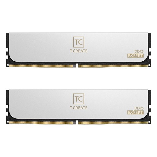 TeamGroup T-CREATE DDR5-6000 CL30 EXPERT 화이트 패키지 서린 (32GB(16Gx2)), 2개
