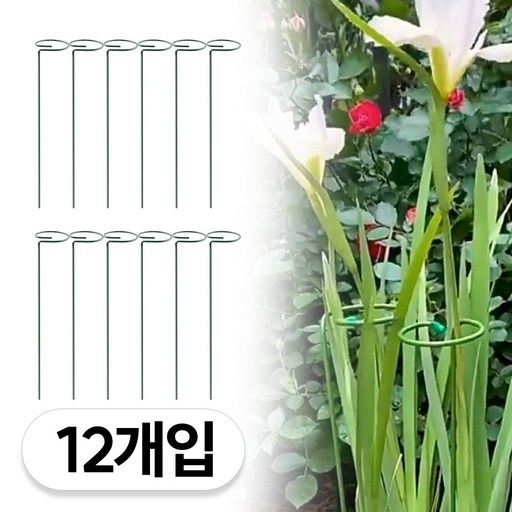 2025 NEW 고리형 식물 화분 화초 난초 지지대 48cm