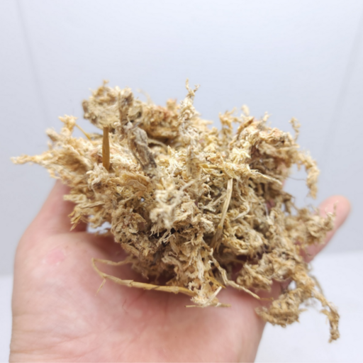 천연 고급 수태 75g 테라리움 만들기 비바리움