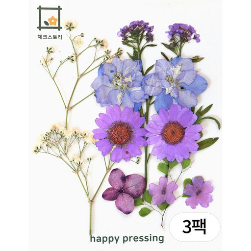체크스토리 압화 미니컬러믹스 방과후수업 자연물놀이 꽃송이