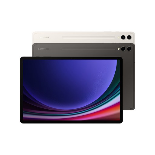 삼성전자 갤럭시탭 S9 플러스, 그라파이트, 256GB, Wi-Fi