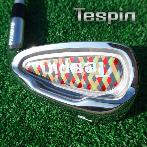 테스핀(Tespin) 아이언세트 (남성용세트/여성용세트)