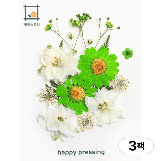 체크스토리 압화 컬러가든시리즈 누름꽃 꽃송이 압화재료 공예