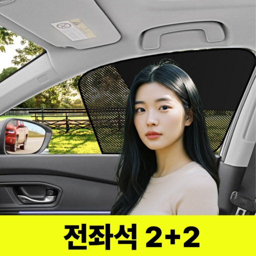 앨리쉬 차량용 자석형 커튼 햇빛 가리개 1+1