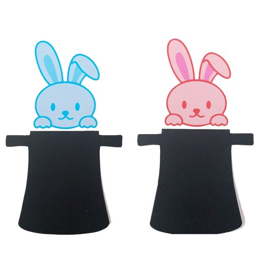 컬러체인지레빗(Color change rabbit) 순식간에 토끼의 색이 달라지는 신기한 카드마술