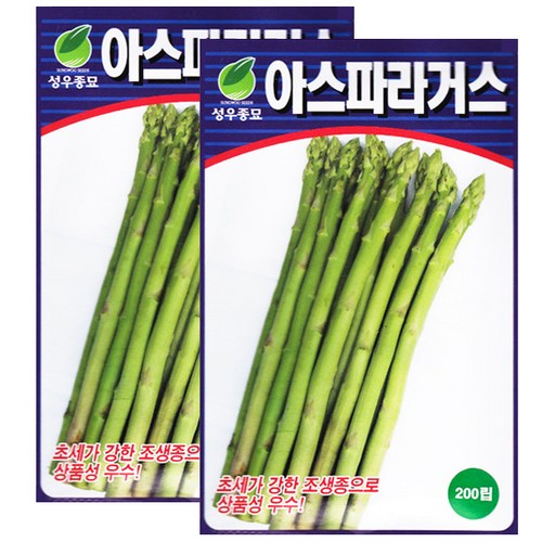 세인화분 아스파라거스 200립 - 씨 씨앗