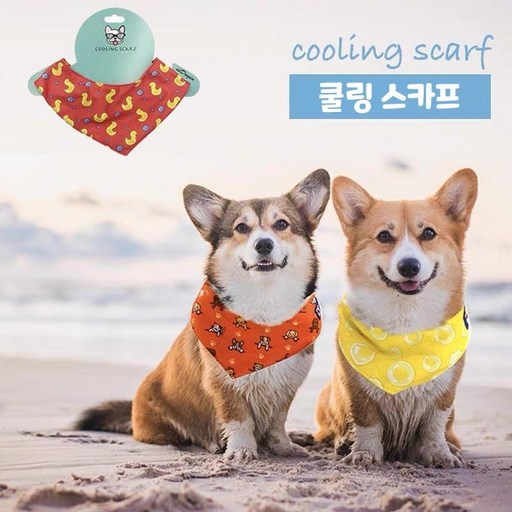 다바이마켓 애견 귀여운 쿨링 냉감각 수건 얼음 같은 느낌 M 사이즈