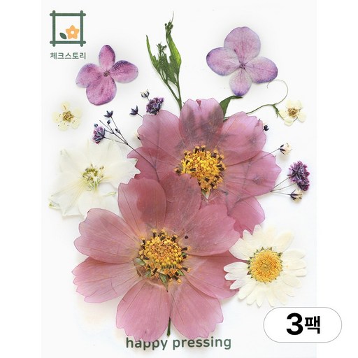 체크스토리 압화 컬러가든시리즈 누름꽃 꽃송이 압화재료 공예