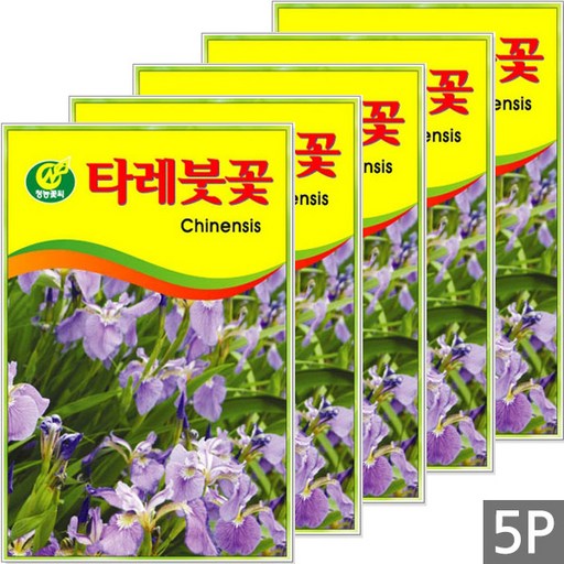 세인화분 타레붓꽃 15립