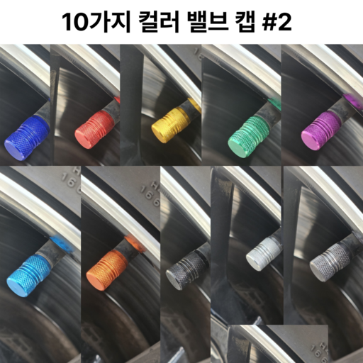 제니스마켓 슈레더 자동차 타이어 튜브 알루미늄 합금 밸브 캡 10종 혼합 세트 #2