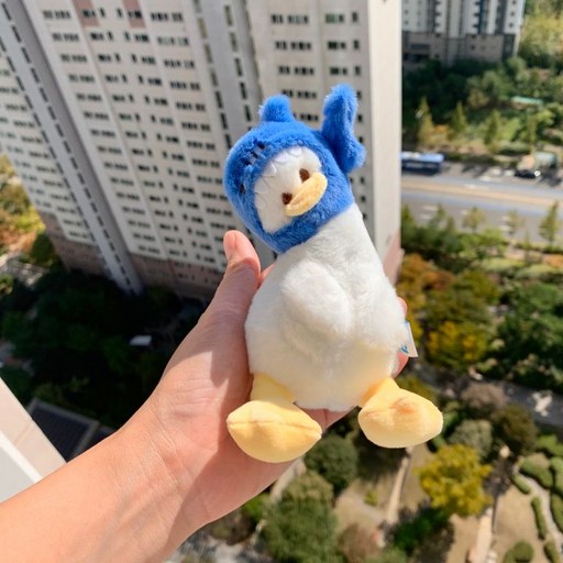 떨샵 모자쓴why오리 키링 열쇠고리 가방고리 자동차키홀더 인형키링