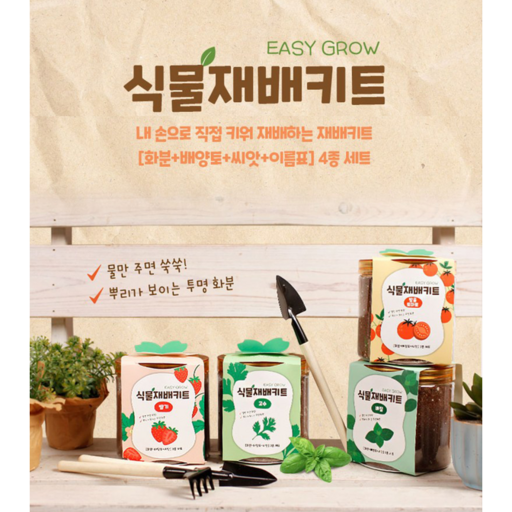 레인보우 이지그로우 식물재배키트 키우기 씨앗+배양토+씨앗 3종셋트
