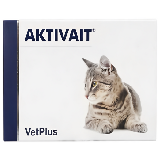 벳플러스 고양이 액티베이트 영양제 60p