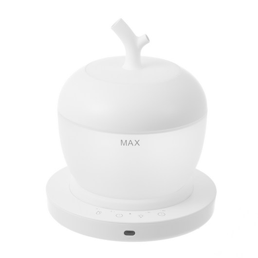 홈플래닛 사과 가습기 1L, H1007A1