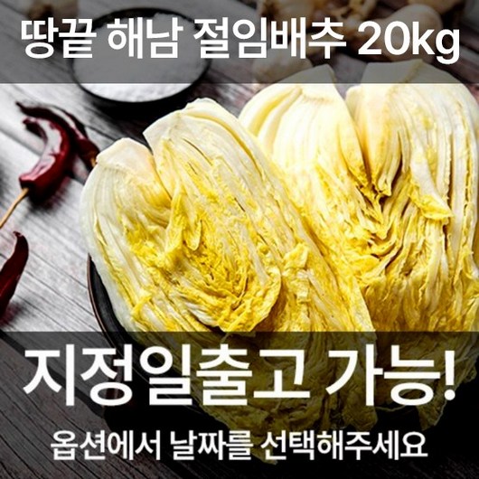 [도착일선택] 땅끝 해남 절임배추 20kg 해남직송 속이꽉찬 배추, 1개, 12월 19일(목) 도착