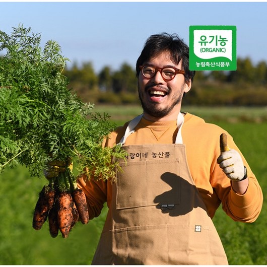 [농슐랭] 제주 유기농 무농약 흙당근 친환경 겨울당근 ABC주스 쥬스용, 1박스, 정품 3kg