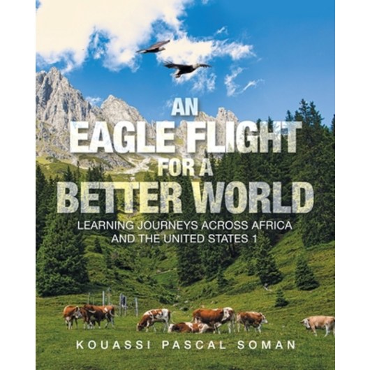 (영문도서) An Eagle Flight for a Better World: Learning Journeys Across Africa and the United States 1 Paperback, iUniverse, English, 9781663258731