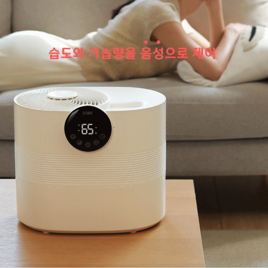 소싱 5L 대용량 자연 기화식 가습기, 클라우드 자연기화식 가습기