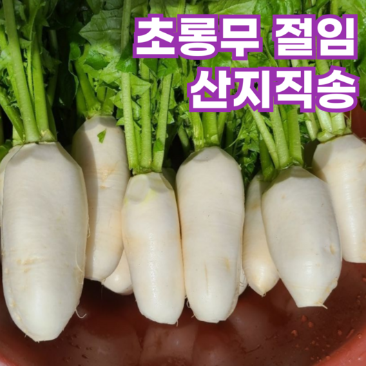 강원도 고랭지 절임 알타리 알타리무 초롱 무 무우 절인, 1박스, 10kg