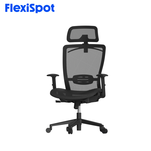 FlexiSpot 인체공학 다각도 조절 사무 의자 요추보호 틸팅 팔걸이 목받침 조절 컴퓨터의자 OC3, 블랙메쉬좌면