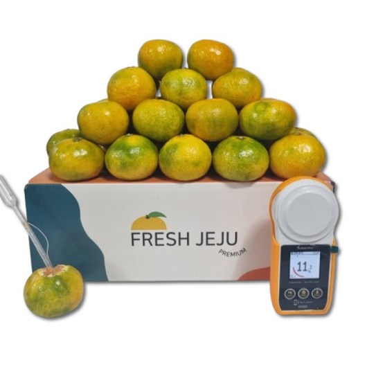 제주 서귀포 햇 귤 산지직송 고당도 노지 감귤 조생 밀감 2kg 5kg 11브릭, 대과(L/2L)