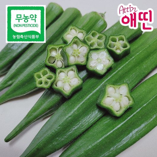 [무농약] 생오크라 국내산 애띤 오크라 NON PESTCIDE OKRA 무농약 오크라 무농약채소, 1개, 500g