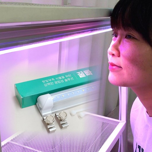 식물전파사 꿀빠 식물등 바형 LED 식물조명 성장 생장 15W 개별 선택가능, 주광색, 1개, 꿀빠 60cm (자석2개,케이블타이2개포함)