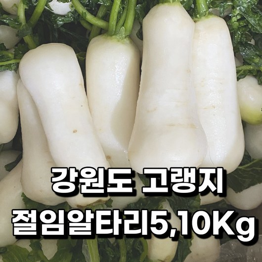 강원도 청정 평창에서 보내드리는 무르지 않는 명품 고랭지 절임알타리 5KG 10KG 주문확인되면 배송일 문자 드립니다., 절임알타리10kg 결제시 도착날짜,연락처입력, 1박스