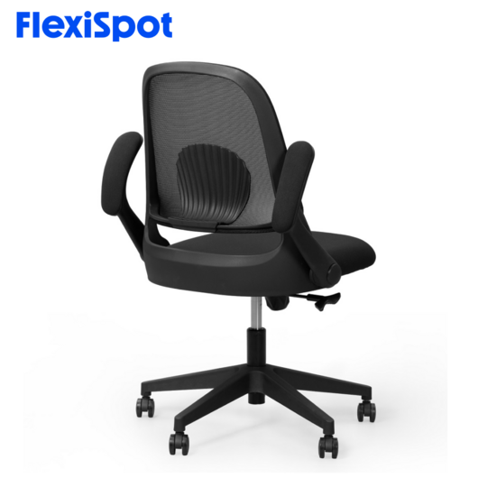 FlexiSpot 조개등받이 책상의자 컴퓨터의자 공부 학생 의자 OC5, 블랙