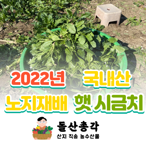 섬초4 완벽 분석: 가성비 최고의 초고속 인터넷 선택 가이드