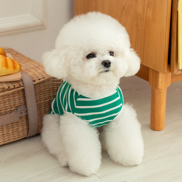 펫츠랜드 강아지 로키 티셔츠, 그린