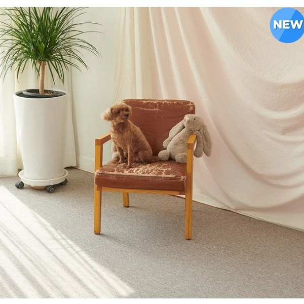  코티홈 타일 카페트 프리미엄 12장 60x60cm / 코스트코 