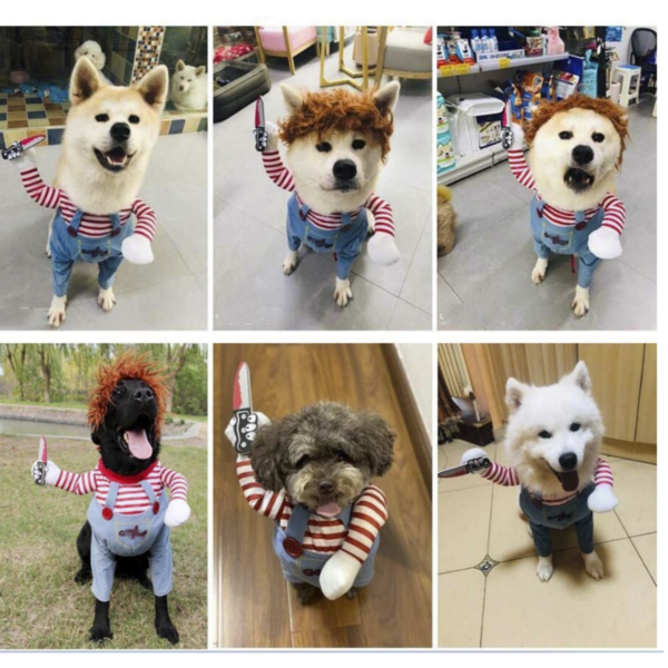 희희상점 애견 옷 코스튬 할로윈 파티 의상 처키옷 카우보이 옷 2종