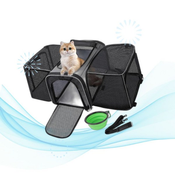 Pecute 페큐트 고양이 가방 이동장