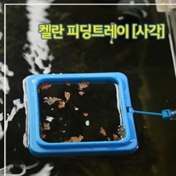 어항 피딩 사각트레이 물고기 사료급여기